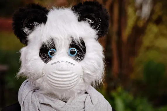 Casino Eight Storm Stuðningur